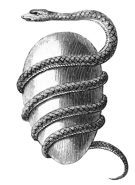 El huevo órfico. Serpiente y huevo mundial de los habitantes de Tiro. Jacob Bryant
1774